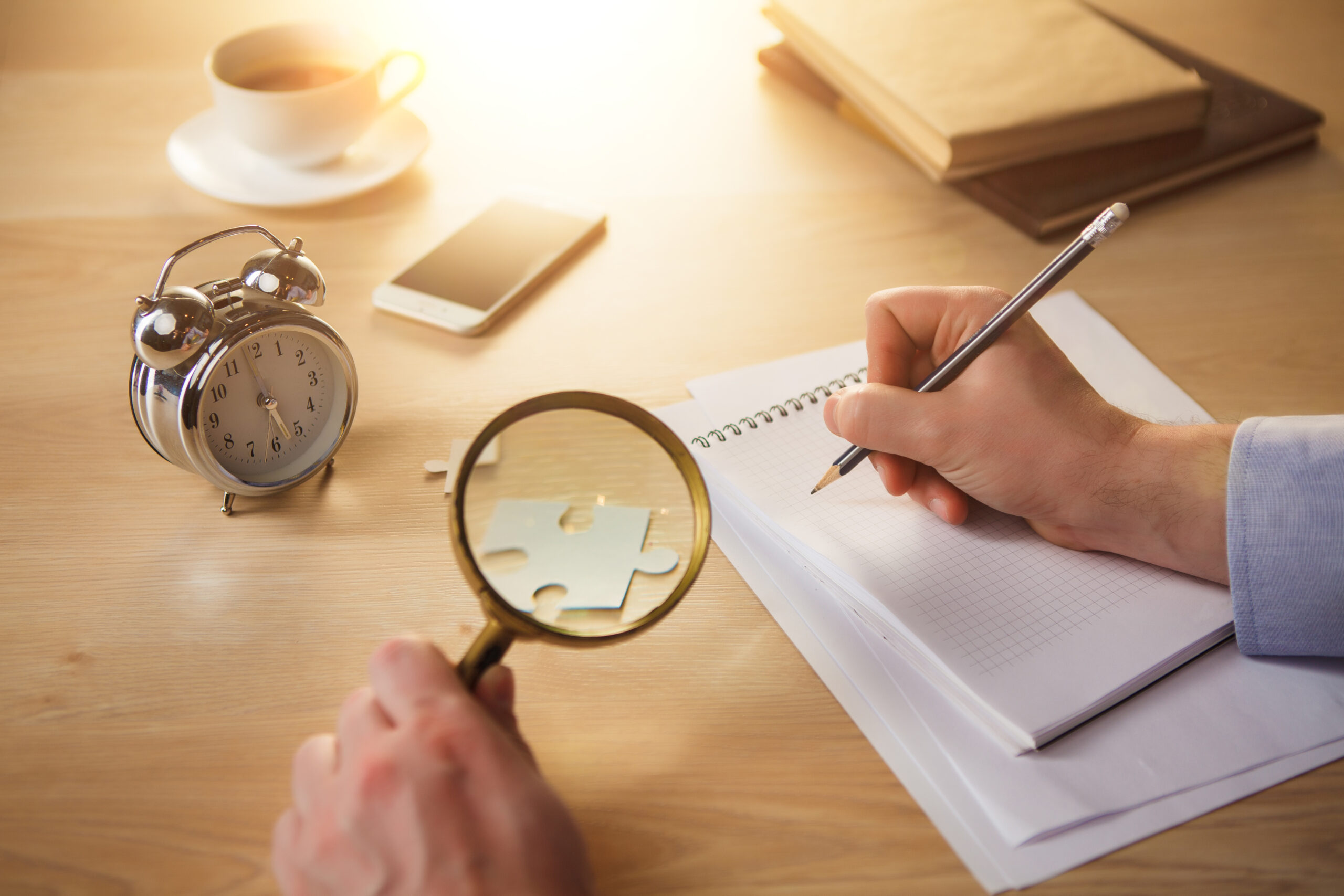 Asset Verification and Investigation Service