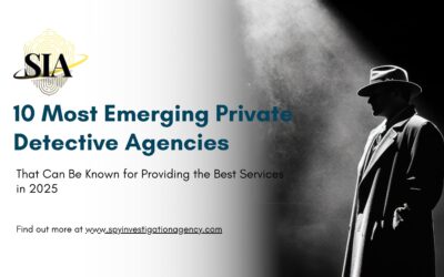 10 Most Emerging Private Detective Agencies That Can Be Known for Providing the Best Services in 2025 – Know Why
